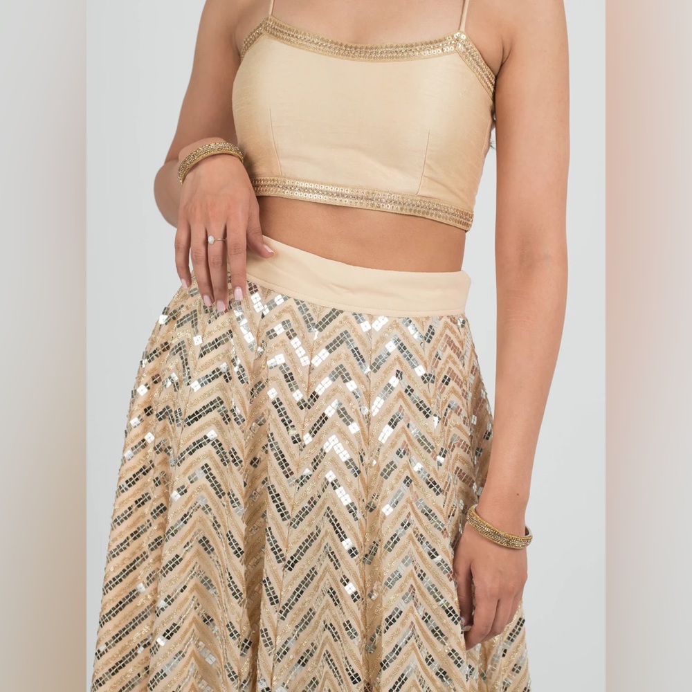 Lehenga choli set for Indian Wedding
